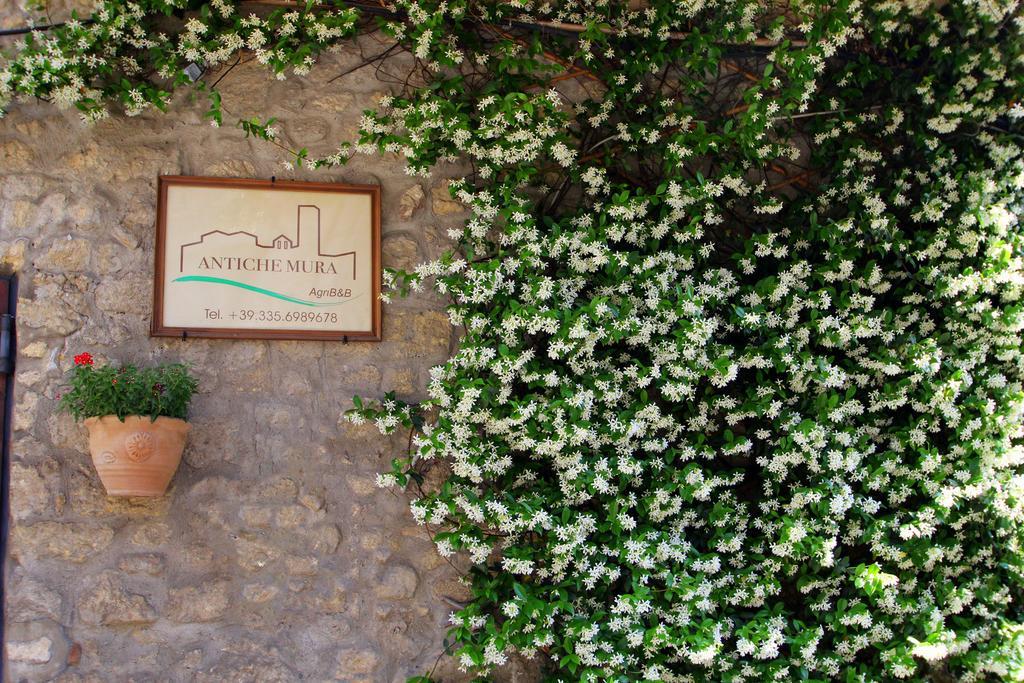 B&B Antiche Mura Tarquinia Zewnętrze zdjęcie